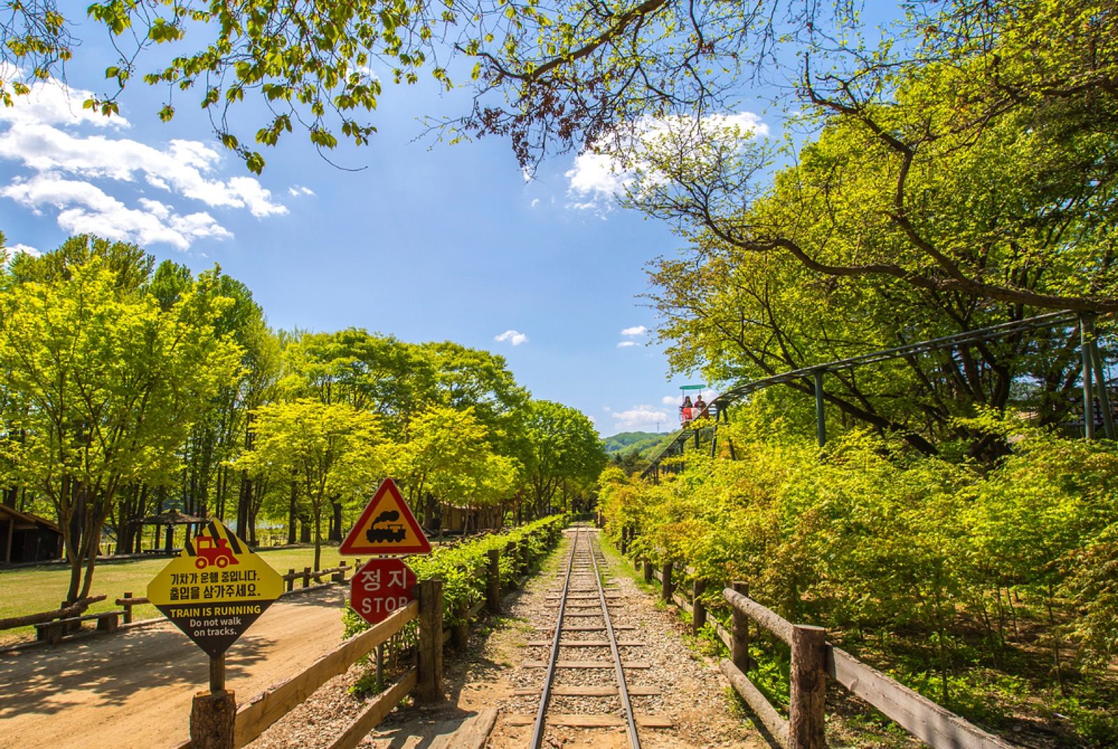 A railway track running into green trees at the Gapyeong Rail Bike course on a sunny day