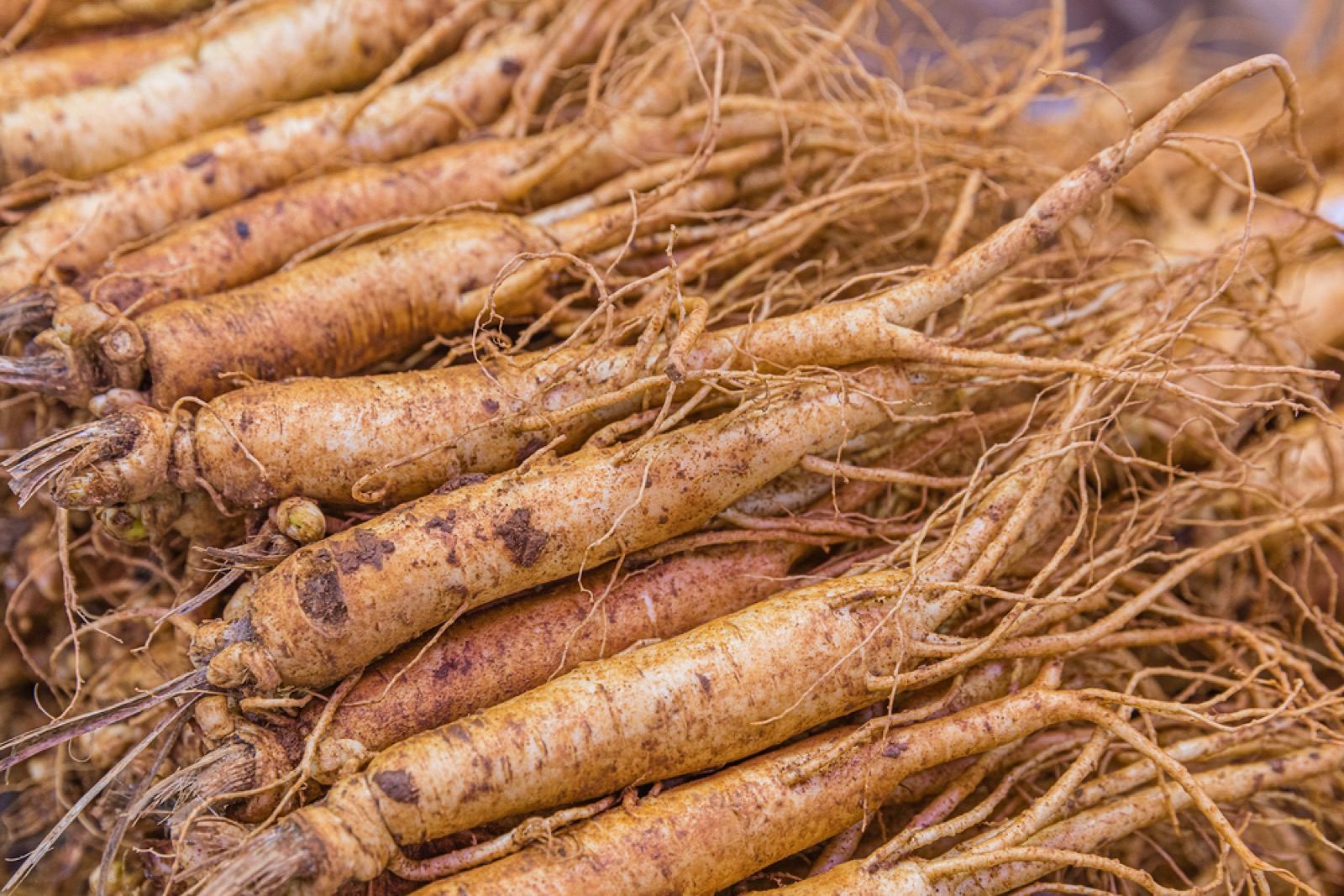Rows of fresh ginseng roots on display at a market stall in Geumsan