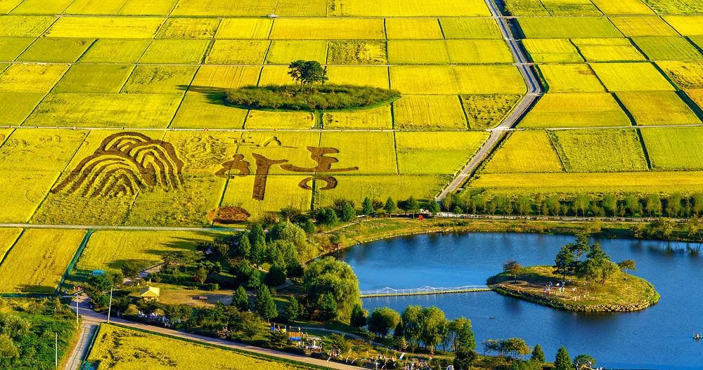 Rice-paddy fields and a pond in the Seomjin River valley, Hadong