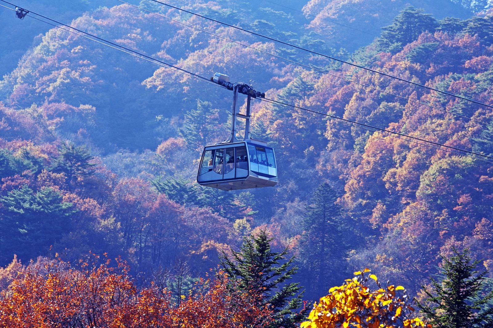 A cable car rising over a mountainside of red and orange autumn foliage in Seoraksan
