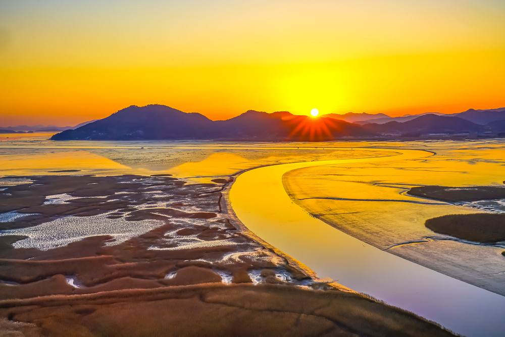 The S-shaped tidal channel of Suncheon Bay glowing at sunset