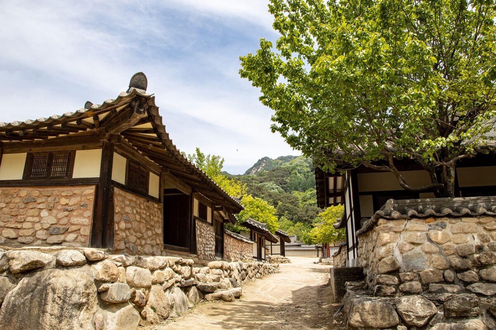 Stone-walled lanes between tiled traditional houses in a pine-shaded scholars' village near Yeongju